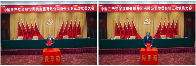 PixPin_2025-05-29_11-22-39.png